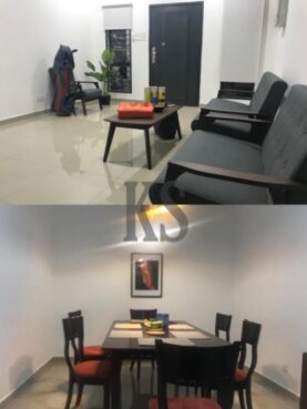room for rent, single room, ss 2, New, fully furnished en-suite single room at SS2, Petaling Jaya