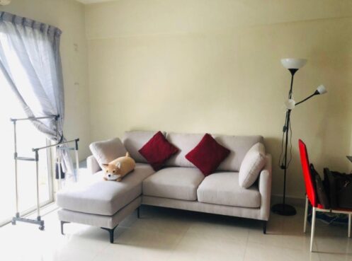 room for rent, studio, mid valley city, Newly renovated home stay studio apartment mid valley bangsar